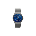 Relojes Skagen para hombre en oferta