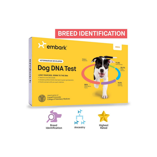 Embark | Dog DNA Test | Breed Identification Kit