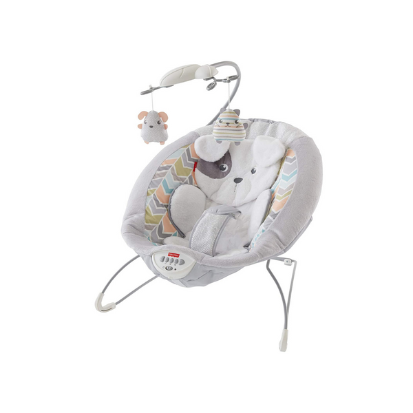 Fisher-Price Sweet Snugapuppy Dreams Deluxe Bouncer