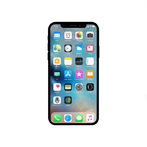 Fully Unlocked Apple iPhone X