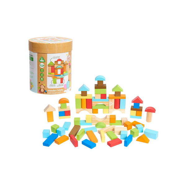 75 Piece Early Learning Centre Kid's Wooden Bricks