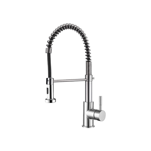 Stainless Steel Brushed Nickel Kitchen Faucet