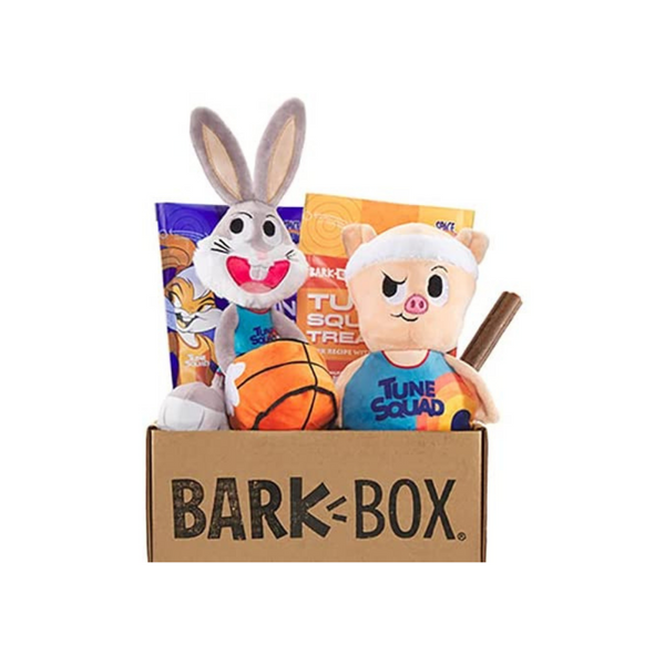 BarkBox Monthly Subscription Box, Dog Chew Toys