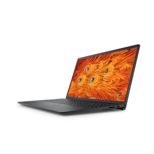 Inspiron 15 3000 Laptop