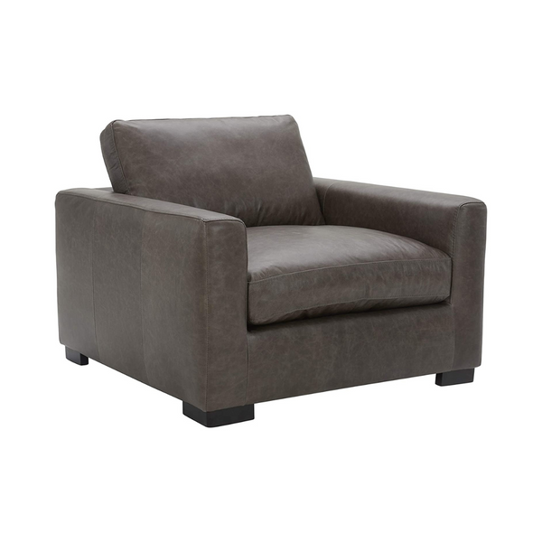 Stone & Beam Westview Extra-Deep Down-Filled Leather Accent Chair