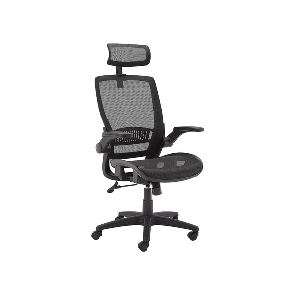 Ergonomic Adjustable High-Back Mesh Chair With Flip-Up Arms And Headrest