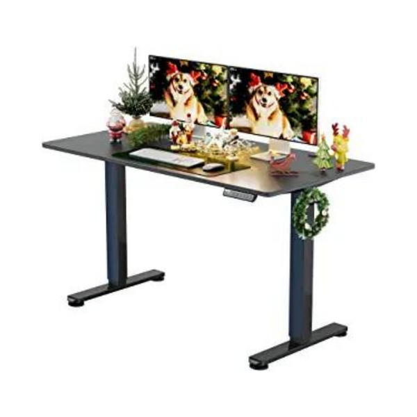 55" x 28" ErGear Height Adjustable Electric Standing Computer Desk