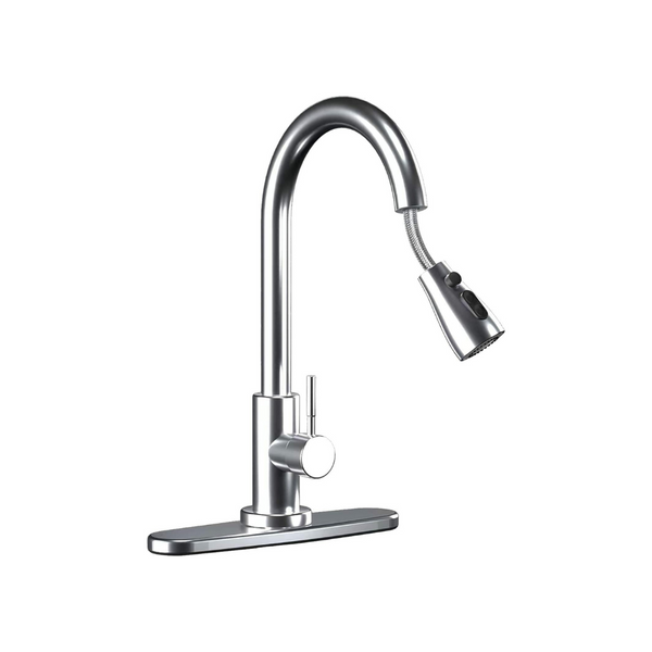 Stainless Steel Kitchen Faucet with Pull Down Sprayer