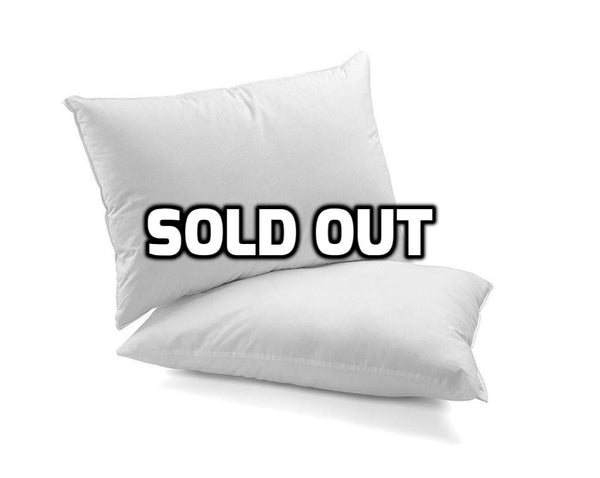 Set of 2 super soft down alternative microfiber pillows